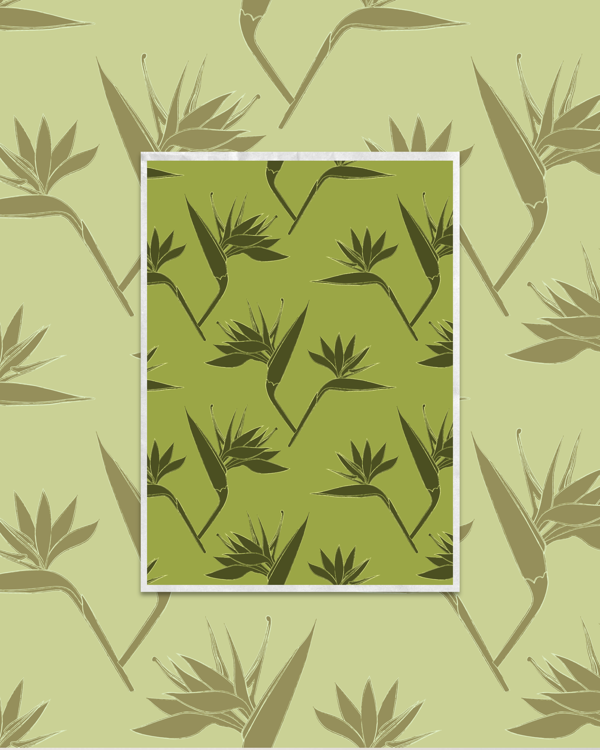 Bird of Paradise (3 color ways) | Exclusive Seamless Pattern | One-of-a-Kind Surface Pattern